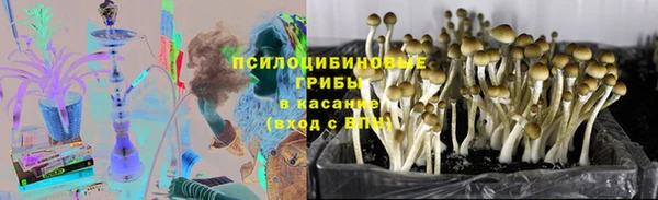 индика Киреевск