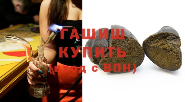 индика Киреевск