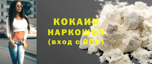 индика Киреевск