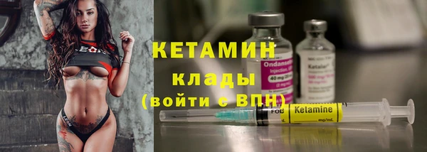 индика Киреевск