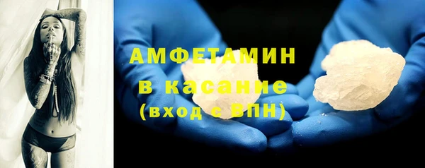 индика Киреевск
