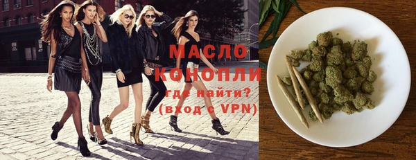 гашик Козловка
