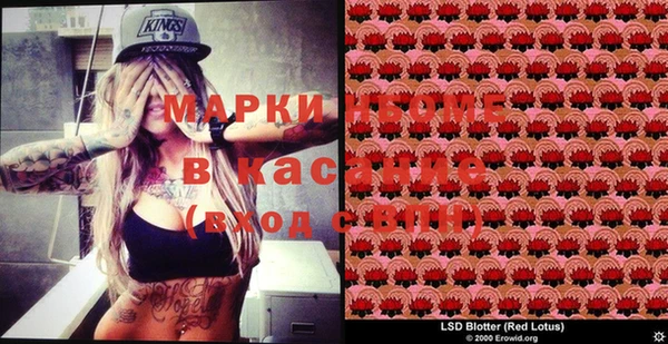 индика Киреевск
