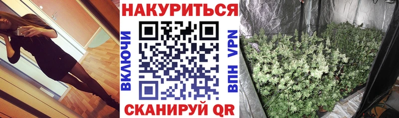 Купить где  Мещовск  Каннабис план 